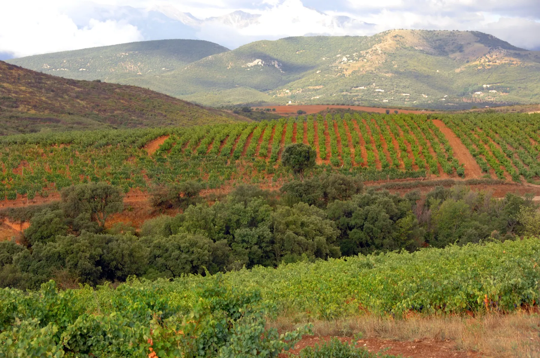 Paysage des Aspres