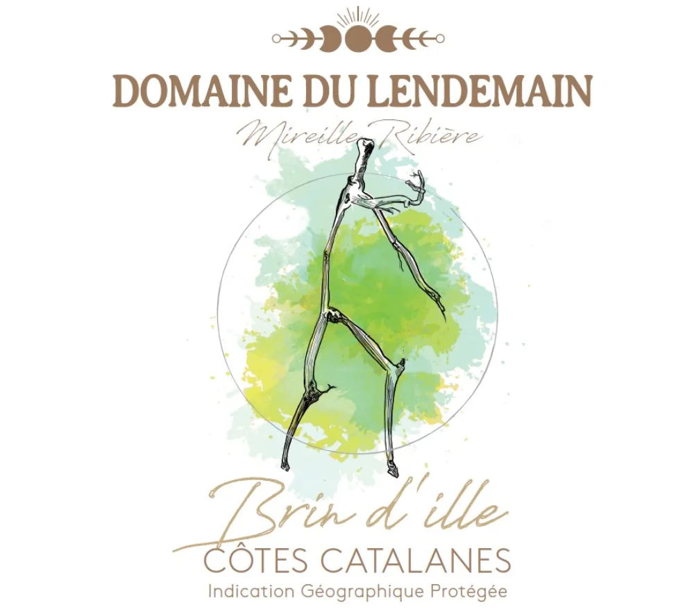 Étiquette de la cuvée Brin d'Ille — Domaine du Lendemain