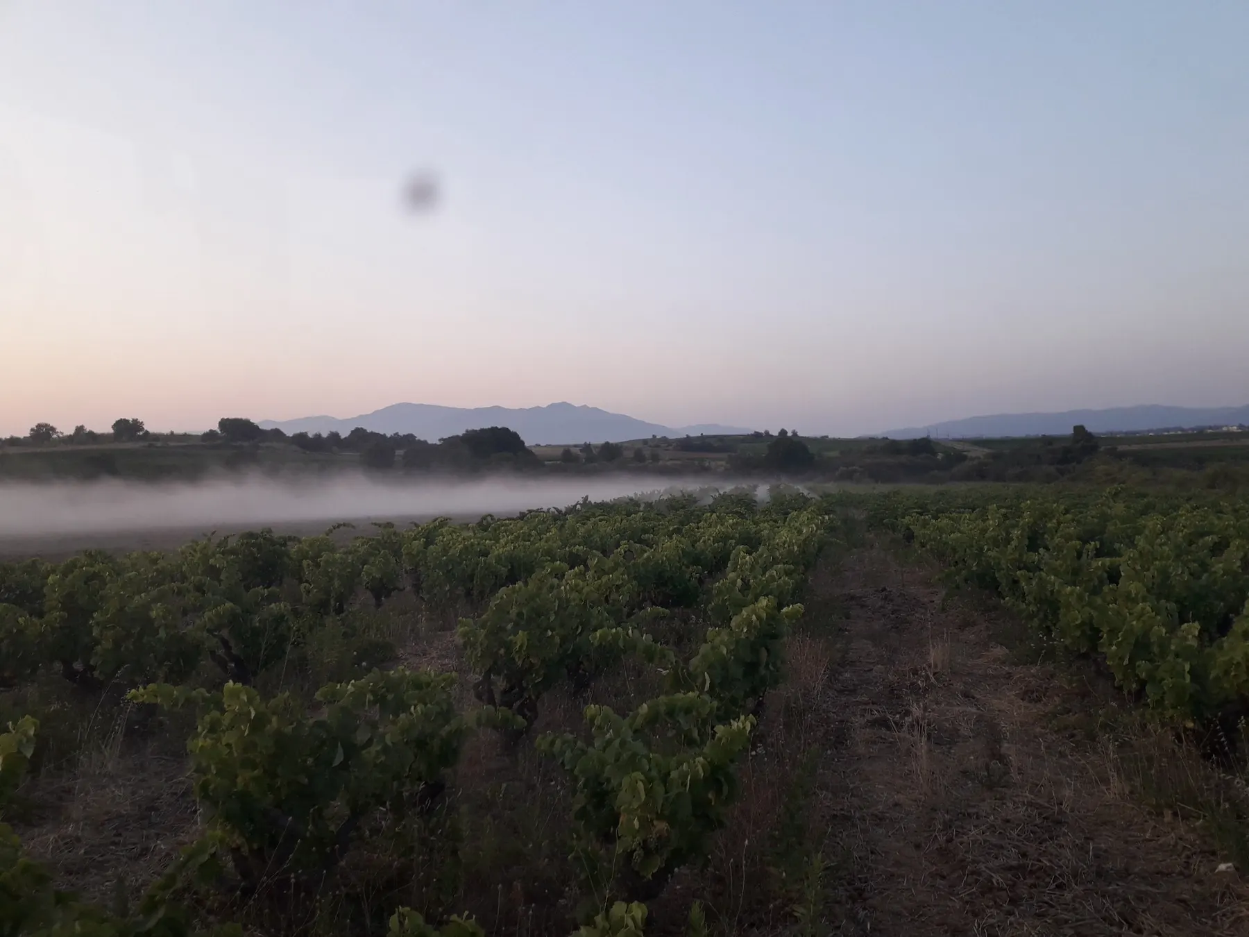 Petit matin sur le domaine