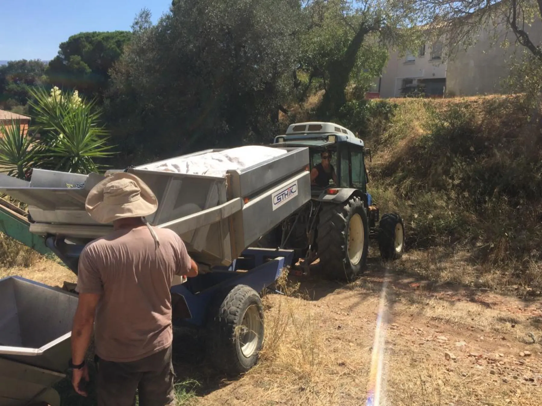 Arrivée des vendanges manuelles
