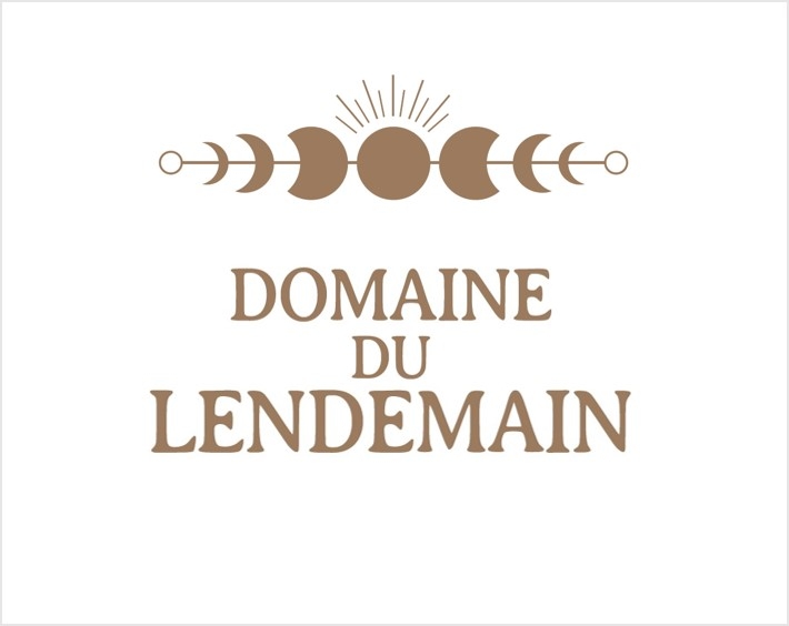 Logo Domaine du Lendemain
